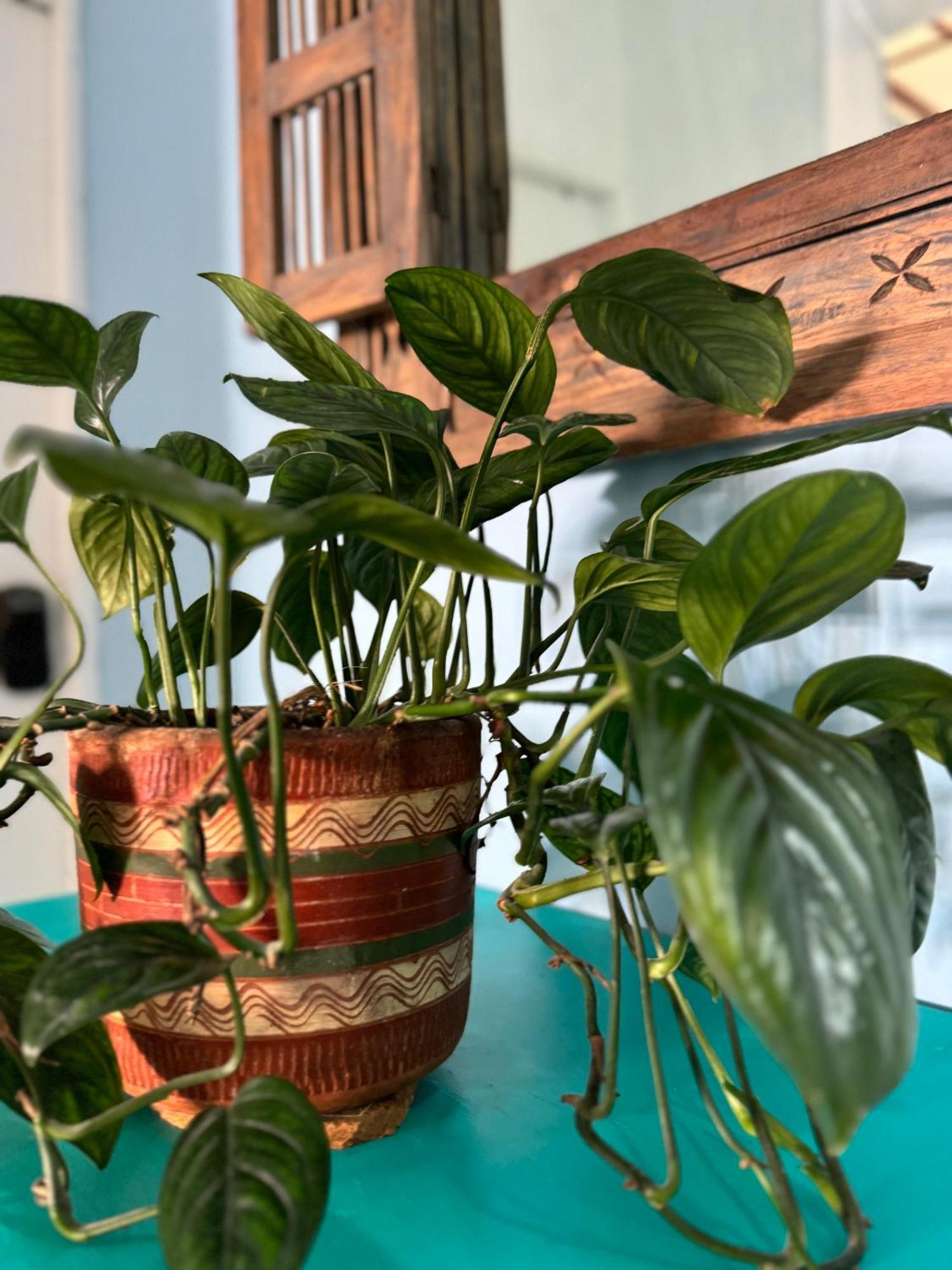 El Barrio Hostal Hostel *